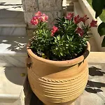 度假居 Galina *
