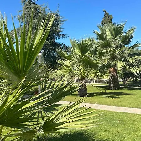 Semesterbostad Galina Nikiti (Sithonia)