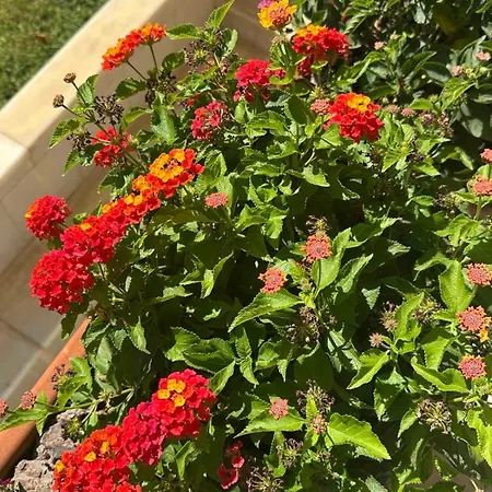 Galina Semesterbostad *