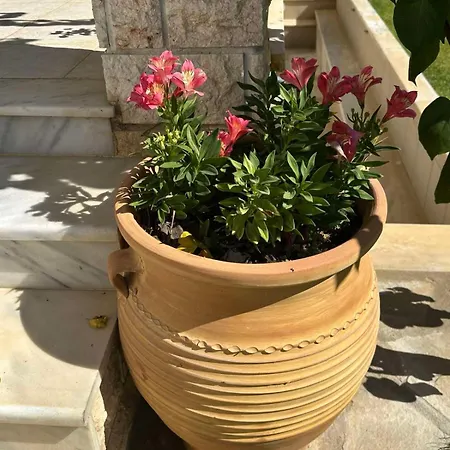 Semesterbostad Galina *