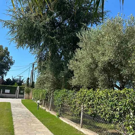 Galina Nikiti (Sithonia)